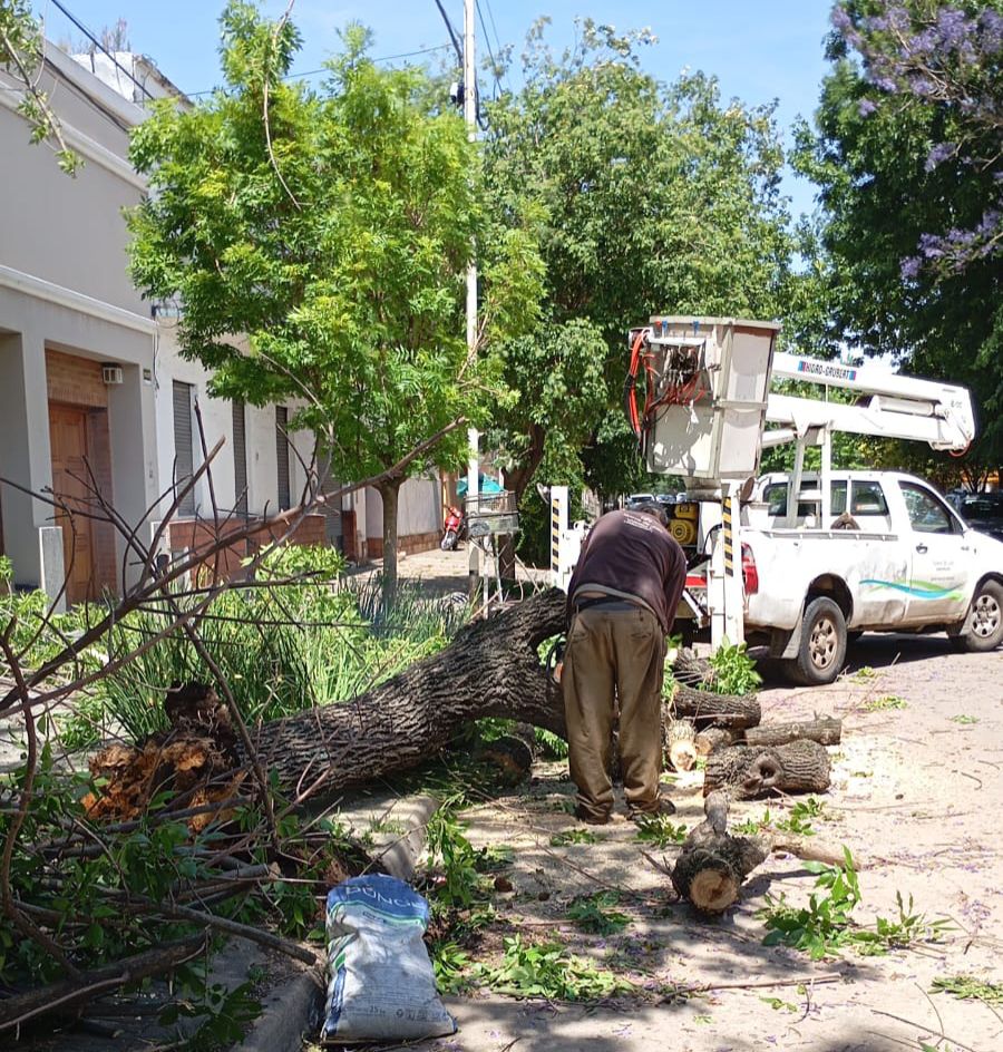 Municipalidad 9 de Julio | TRABAJOS DEL MUNICIPIO POR EL TEMPORAL